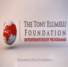 Tony Elumelu Foundation: Delta youths in for big entrepreneurship deal, to learn how to convert ideas to business