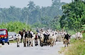 Suspected Fulani herdsmen kidnap Anglican priest in farm at Issele-Mkpitime