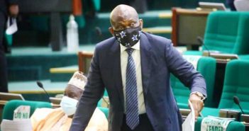 Pantami: PDP backs Elumelu, Minority Reps; vilifies APC House  leadership for protecting terrorism apologist