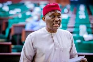 Minority Leader, House of Reps,Hon. Ndudi Elumelu during planary.