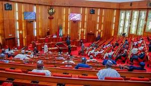 Southern Senators back Govs’ call for restructuring, ban on open grazing