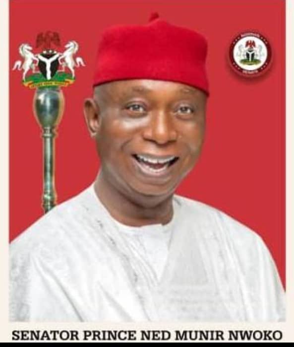 Anioma youths thumbs up for Ned Nwoko, pass vote of confidence in Senator
