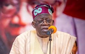 PERSPECTIVE – Nigeria is not working: One year of Tinubu is a cocktail of trial-and-error economic policies