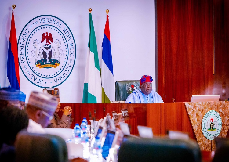 PERSPECTIVE – Like Tinubu, like Council of State members