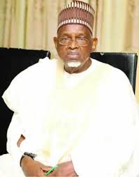 PERSPECTIVE – Jibril Aminu: The dangers of a single narration