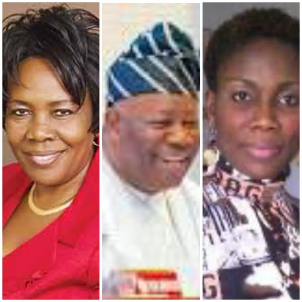 Action Collective to Egbetokun, Fagbemi: Explain how fugitive on wanted list since 2017 is now a FG witness in Natasha case