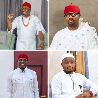 One year in office: Elumelu applauds Aniocha/Oshimili Council Chairmen, says they’re true More Agenda, Renewed Hope agents