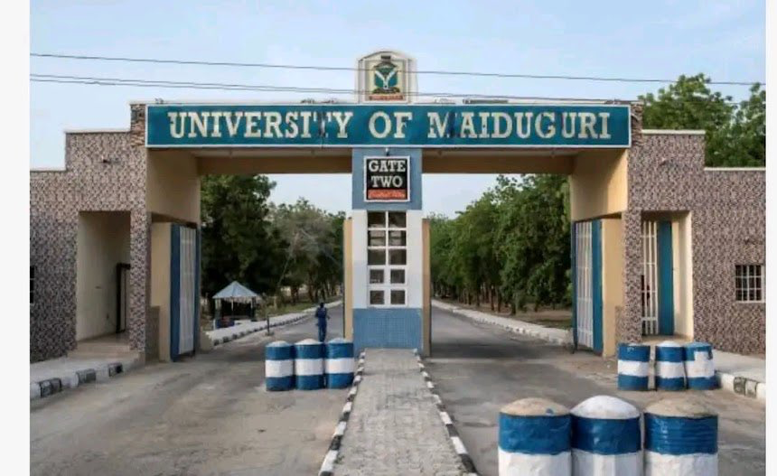 PERSPECTIVE – Critique of Renaming University of Maiduguri to ‘Muhammadu Buhari University’
