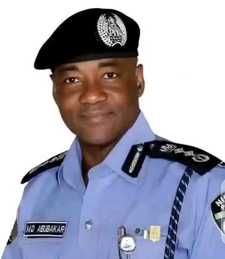 PERSPECTIVE – How the Police arrested me not knowing I was the Commissioner of Police