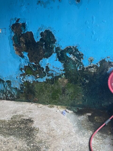 Stephen Keshi Stadium toilet in bad shape; dingy, grimy, wall eaten up by spirogyra organisms