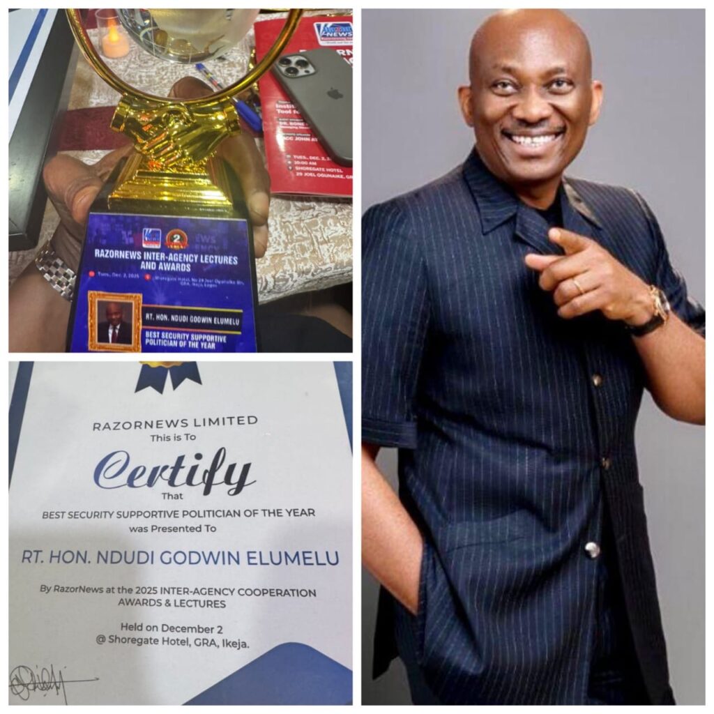 Ndudi Elumelu named ‘Best Security Supportive Politician of the Year’ at RazorNews inter-agency cooperation awards