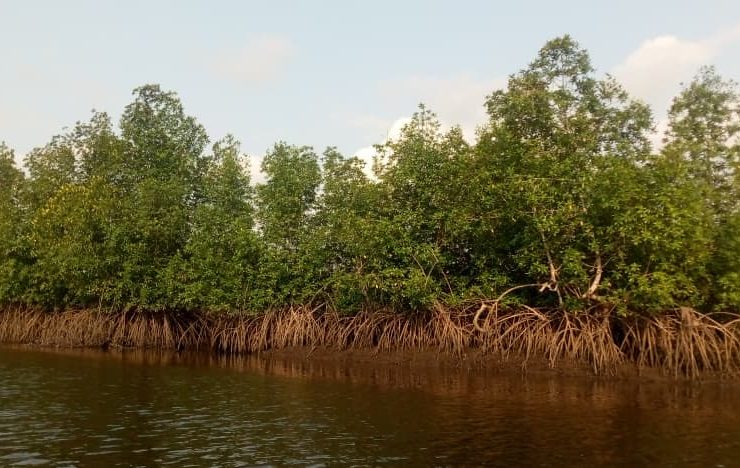 PERSPECTIVE – Stubbs Creek reserve, militancy and 2027 politics