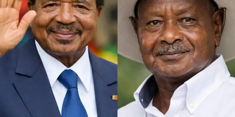 PERSPECTIVE – A cat that cares about tomorrow does not eat a pregnant rat