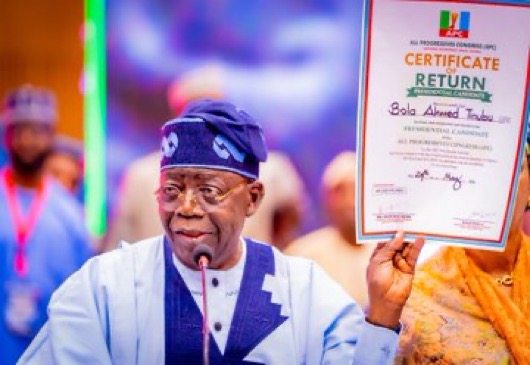 Tinubu secures APC ticket with nearly 11 million votes, vows to deepen reforms