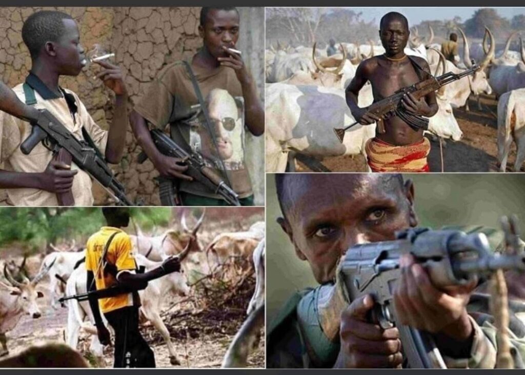 PERSPECTIVE – Open Letter to Fulani leaders