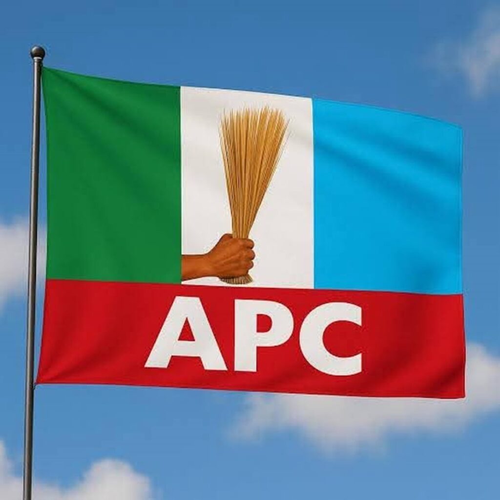 PERSPECTIVE – Aniagwu’s ‘purchasing power’ claim meets the hard facts: Nigerians are getting poorer, not richer